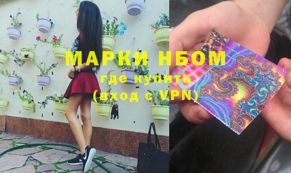 твердый Инсар