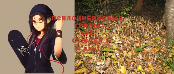 mix Инта