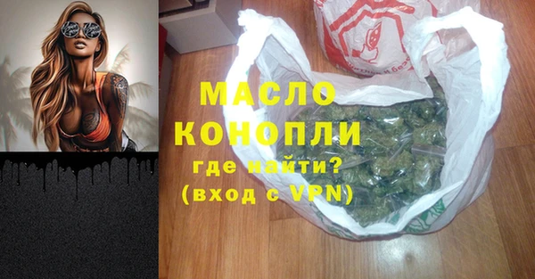 mix Инта