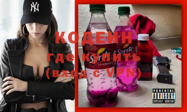 твердый Инсар