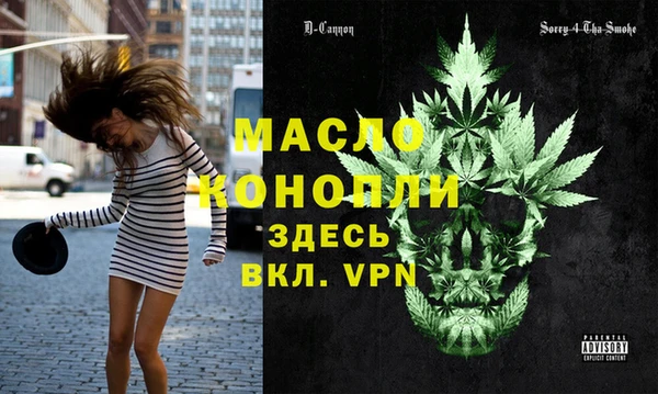 твердый Инсар