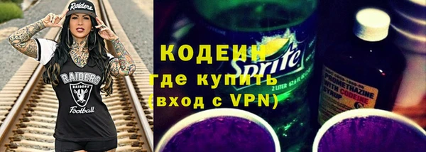 твердый Инсар