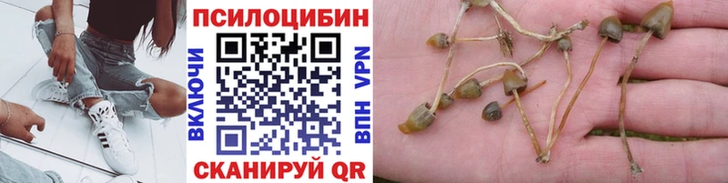 Купить где  Нурлат  Псилоцибиновые грибы MAGIC MUSHROOMS 